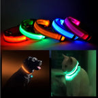 Pet Safety LED Collar Belt – Keep Your Furry Friend Visible & Safe