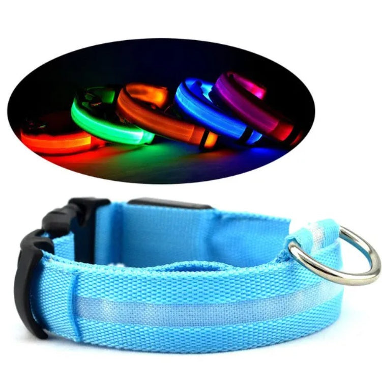 Pet Safety LED Collar Belt – Keep Your Furry Friend Visible & Safe