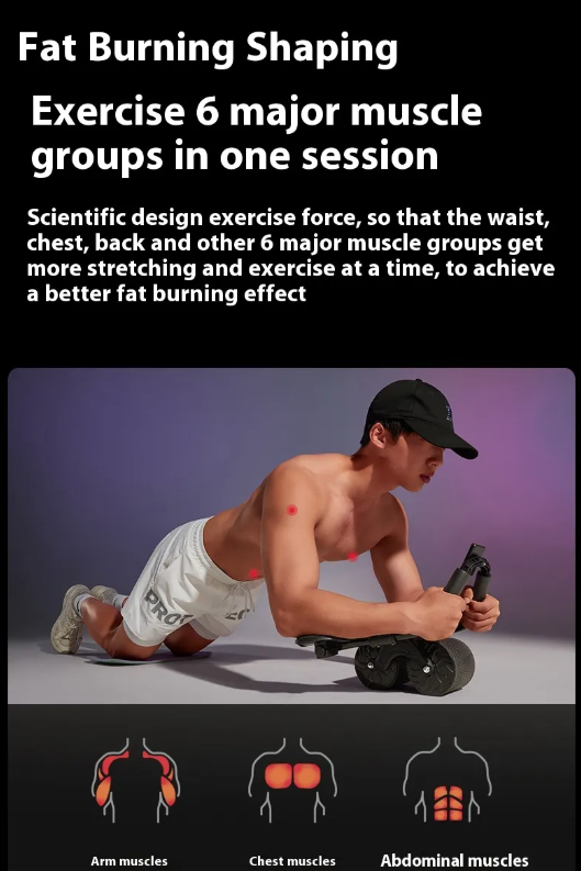 Automatic Rebound Abdominal Wheel - Enyohouse