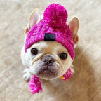 Winter-Ready Windproof Pet Hats for Cats and Dogs