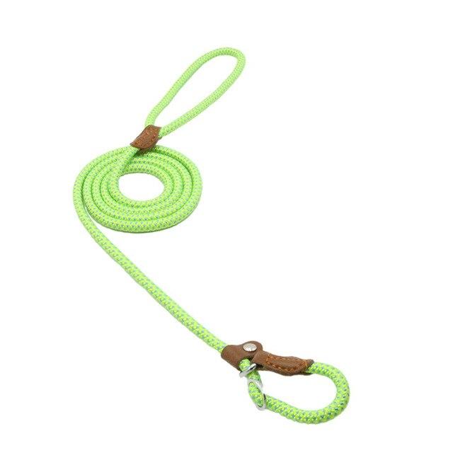 Nylon Pup Set - Enyohouse