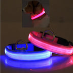 Pet Safety LED Collar Belt – Keep Your Furry Friend Visible & Safe