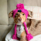 Winter-Ready Windproof Pet Hats for Cats and Dogs
