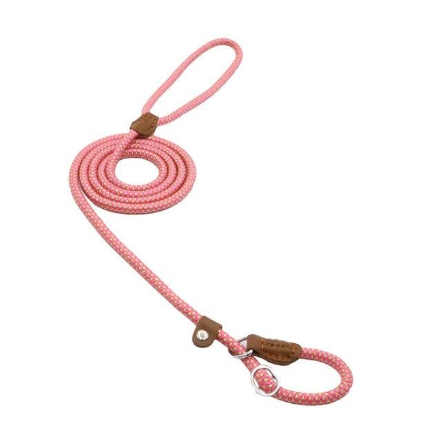 Nylon Pup Set - Enyohouse