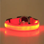 Pet Safety LED Collar Belt – Keep Your Furry Friend Visible & Safe
