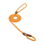 Nylon Pup Set - Enyohouse
