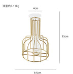 Nordic Style Iron Metal Vase for Hydroponic Decor