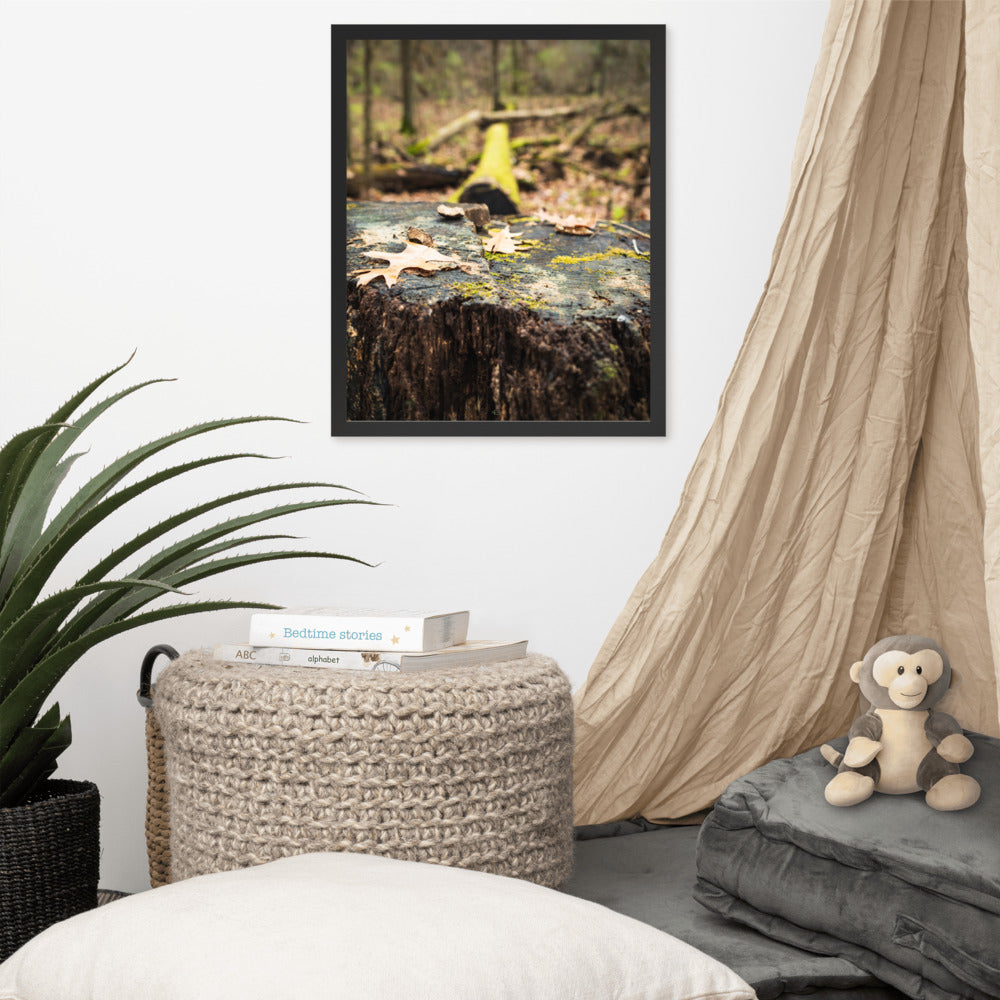 Tree Stump Photography Framed poster