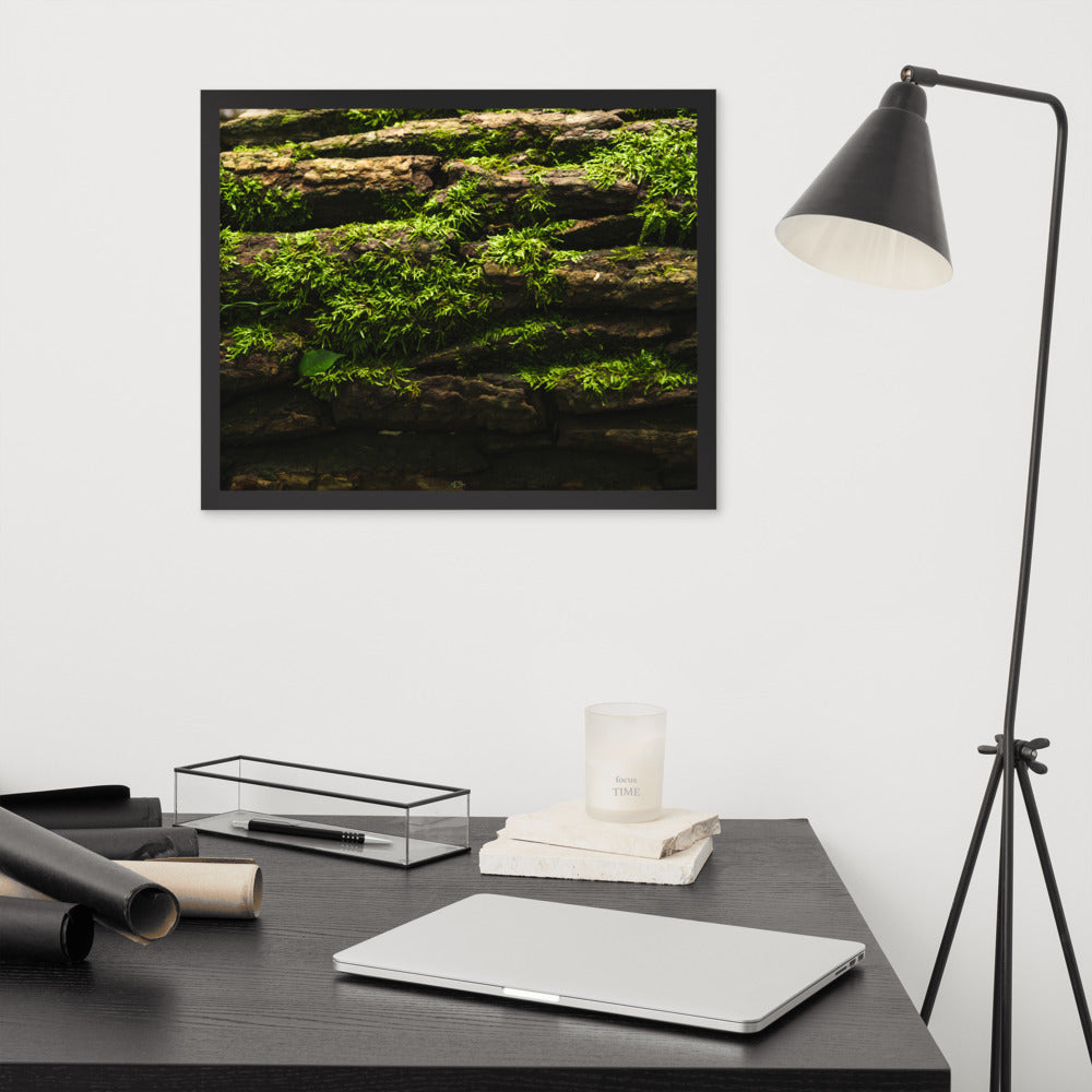Tree Trunk Framed poster