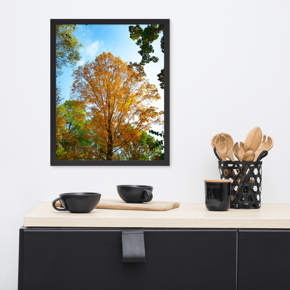 Fall Season Photography Framed poster