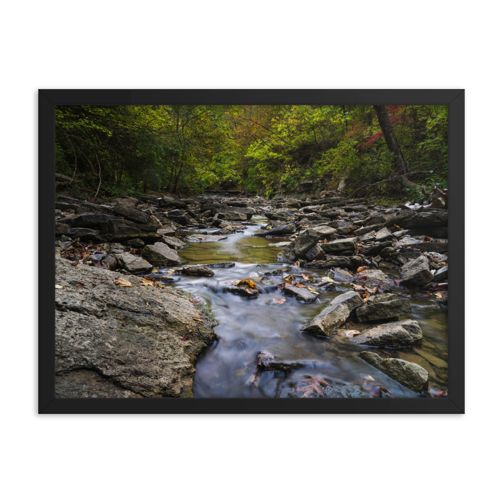 Sharon Woods River Stream Framed poster