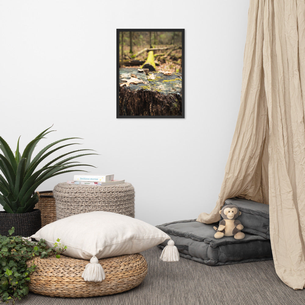 Tree Stump Photography Framed poster