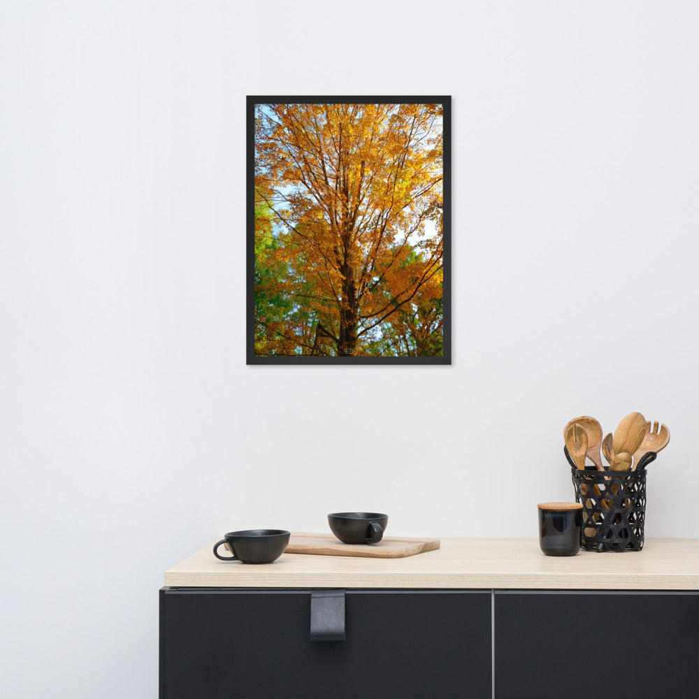 Fall Season Photography Framed poster