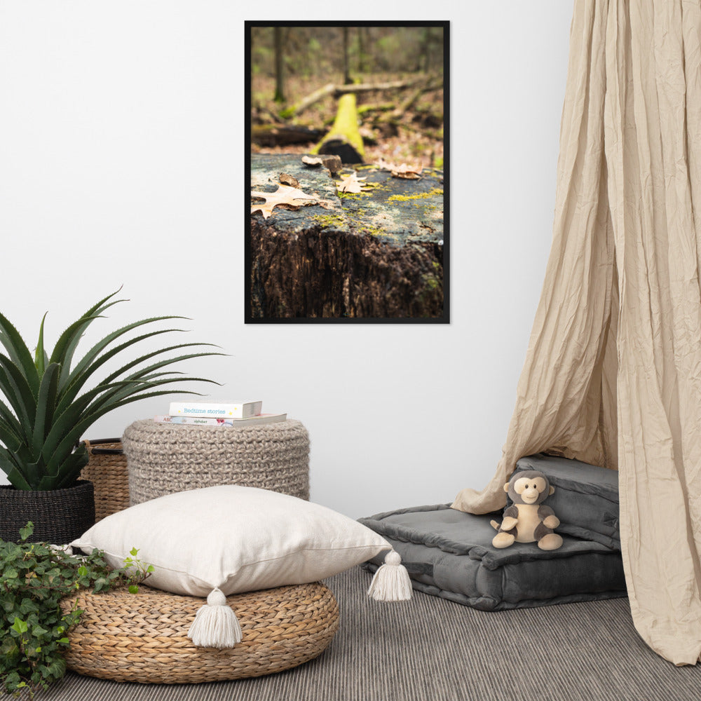 Tree Stump Photography Framed poster