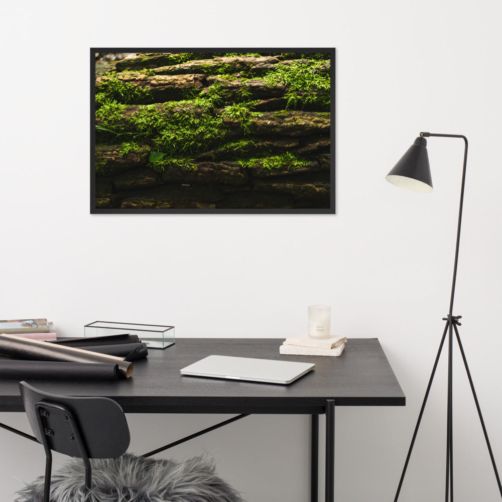 Tree Trunk Framed poster