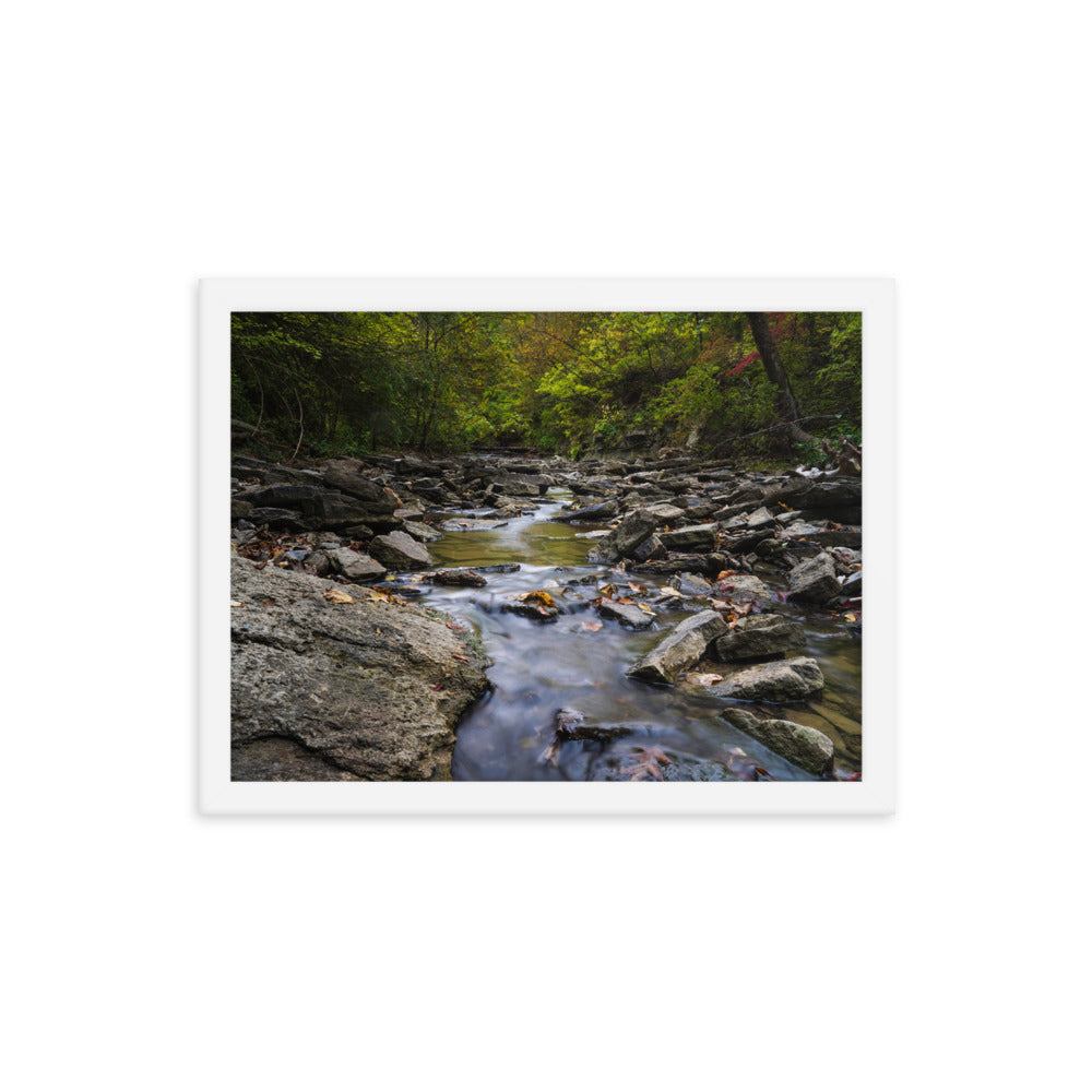 Sharon Woods River Stream Framed poster