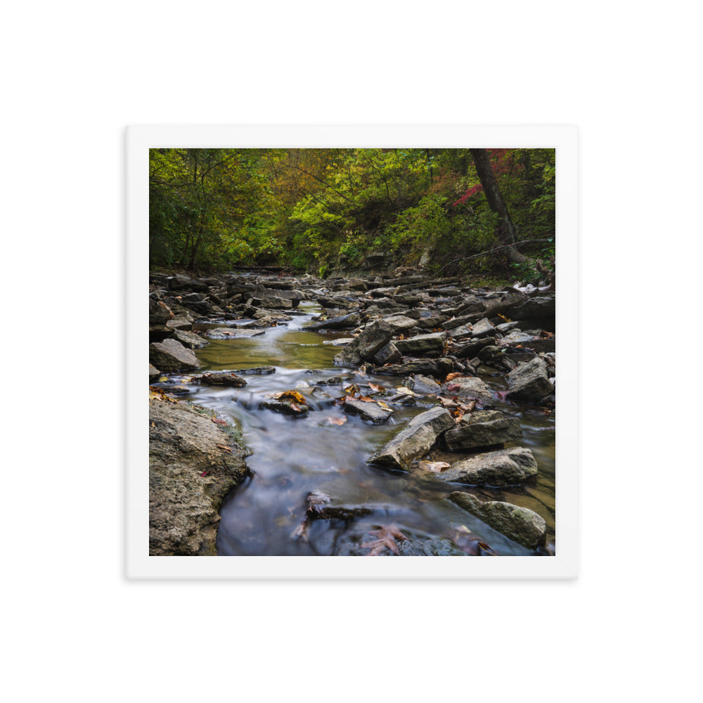 Sharon Woods River Stream Framed poster