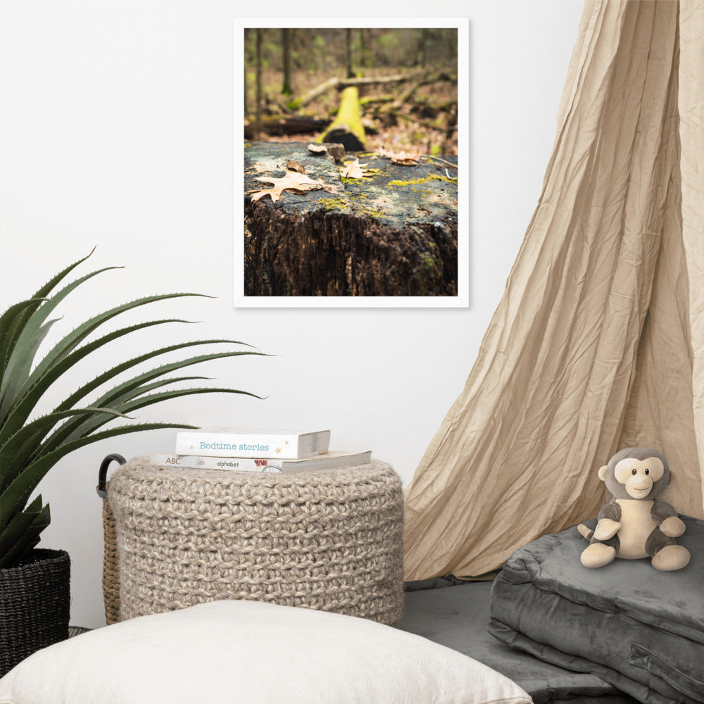 Tree Stump Photography Framed poster