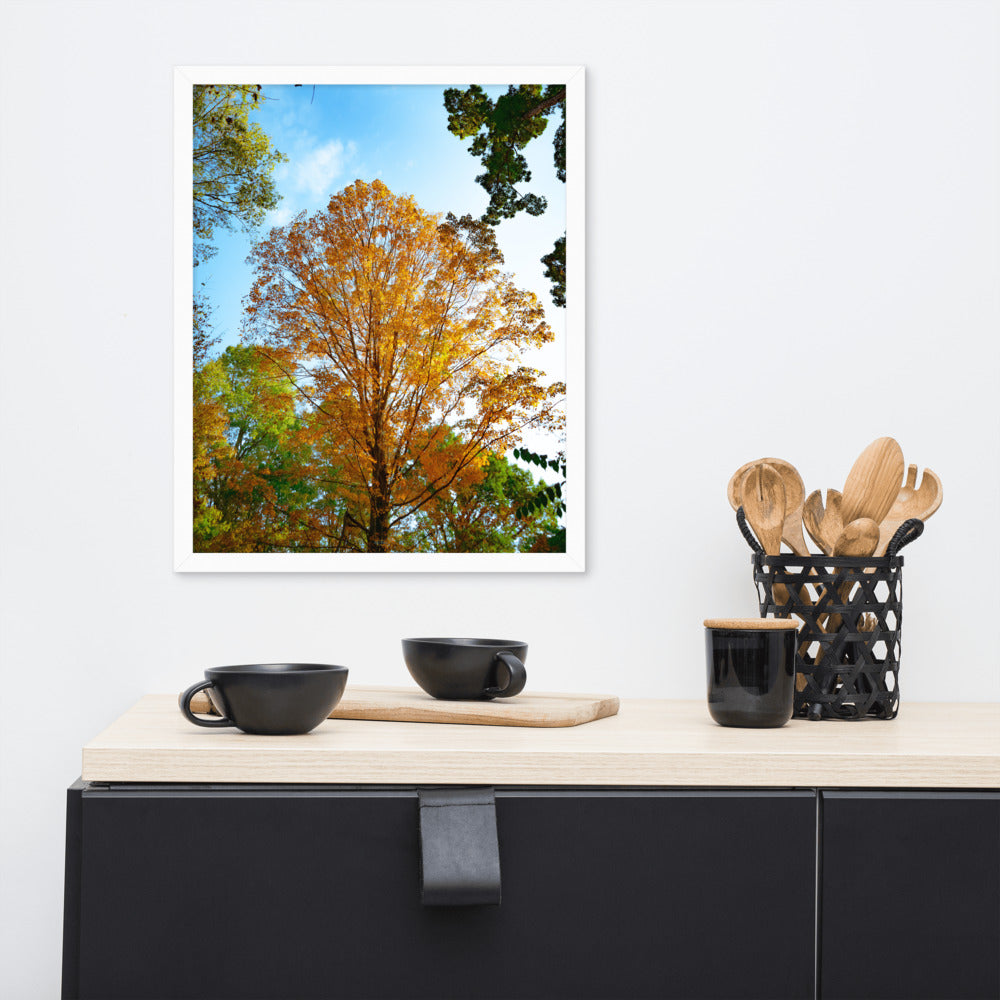 Fall Season Photography Framed poster