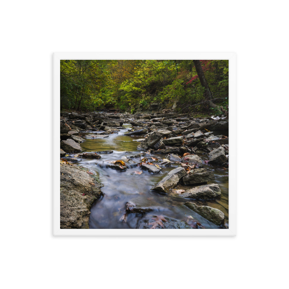 Sharon Woods River Stream Framed poster