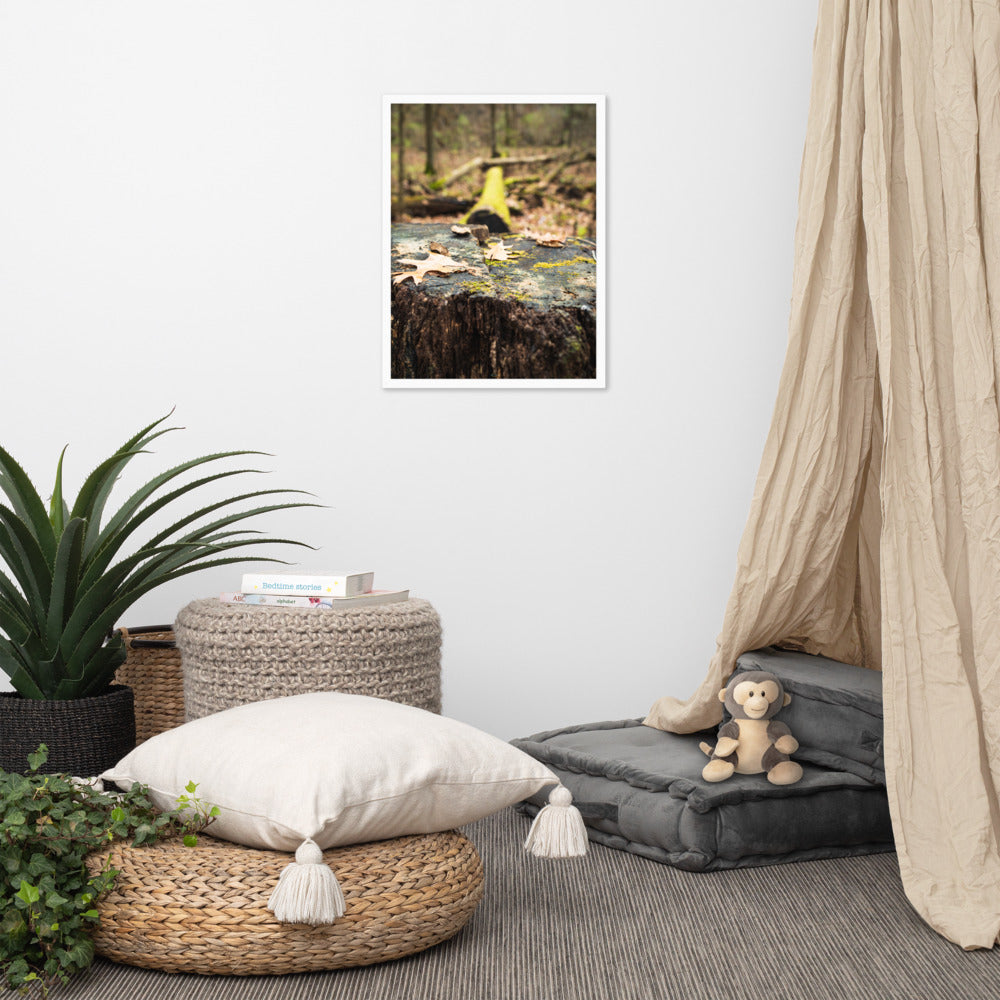 Tree Stump Photography Framed poster