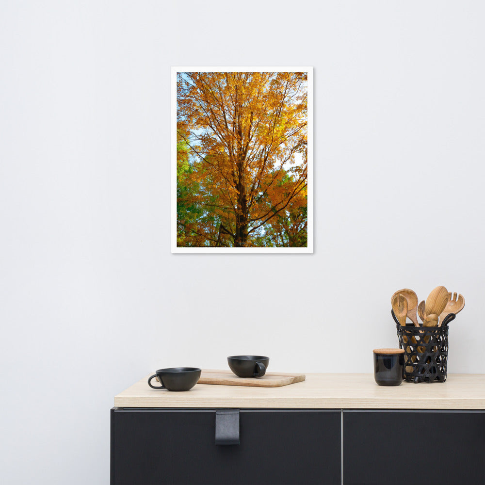 Fall Season Photography Framed poster