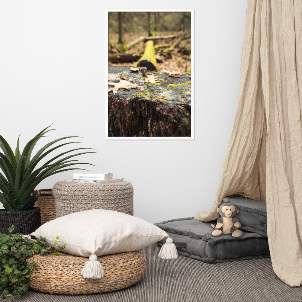 Tree Stump Photography Framed poster