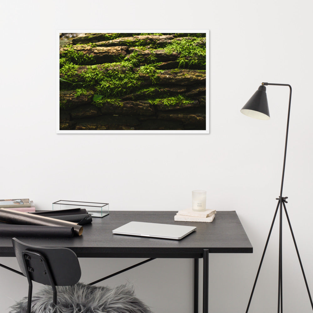 Tree Trunk Framed poster