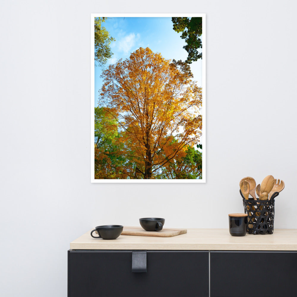 Fall Season Photography Framed poster